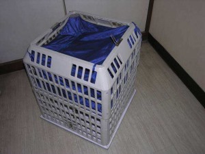 更衣在线麻豆AV网站