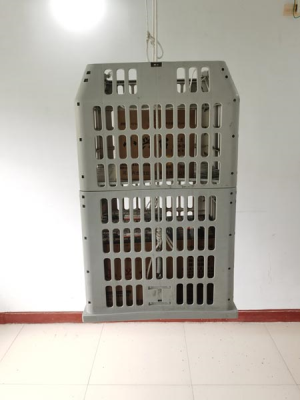 更衣在线麻豆AV网站